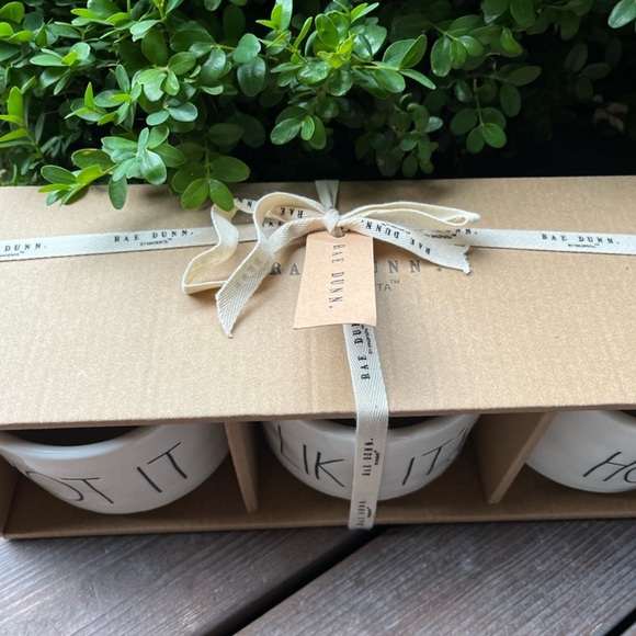 Rae Dunn Triple Planters “Pot It Like It’s Hot”, New In Box - Picture 3 of 3